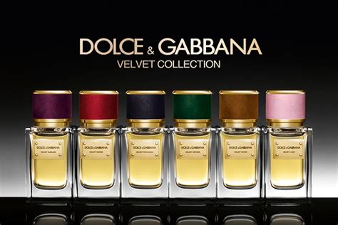 d&g velvet collection